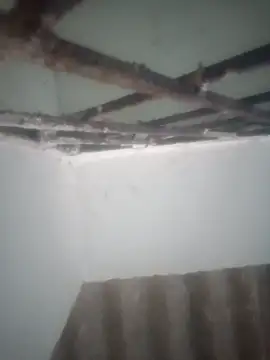 Pallu Asha online show from March 19, 12:54 am