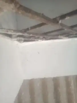 Pallu Asha online show from April 28, 12:53 am