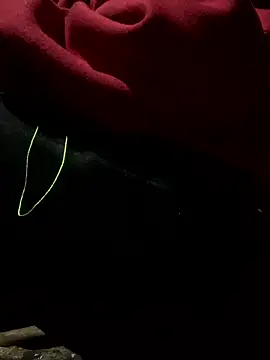 bi-bo123 online show from January 9, 1:56 am