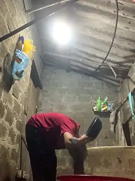 bi-bo123 online show from December 18, 11:58 am