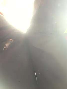 bi-bo123 online show from January 10, 5:03 am