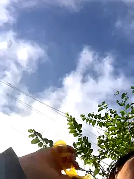 Snapshot of bi-bo123 chatting on November 23, 1:26 am bi-bo123 online show from November 23, 1:26 am