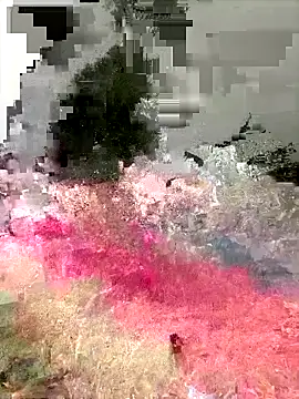 Ckinetor online show from December 20, 3:15 pm