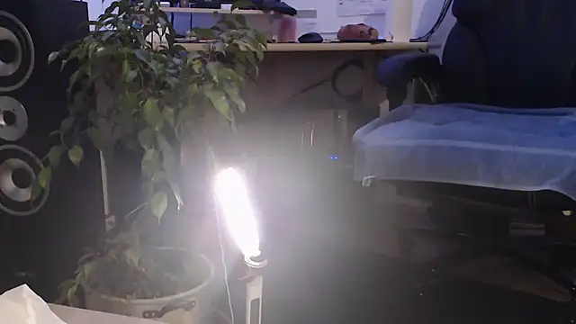 metalhead1970xh online show from February 8, 6:33 am