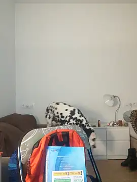 Dominantepollon89 online show from February 28, 1:38 am