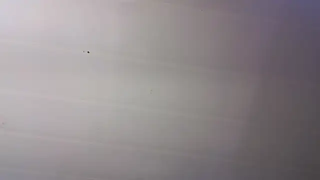 malen fitnessmilf online show from March 23, 11:43 am