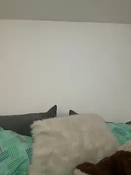 Ania rose online show from February 7, 5:54 pm