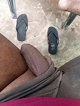 DK 9396 online show from January 7, 9:25 am