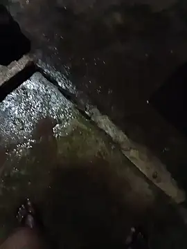 DK 9396 online show from January 9, 7:10 pm