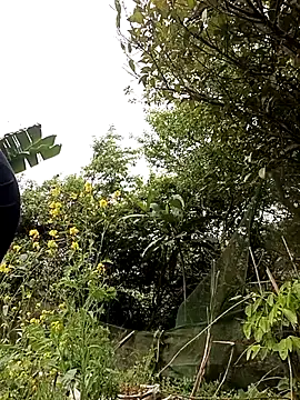 Alice-567 online show from March 10, 6:28 am