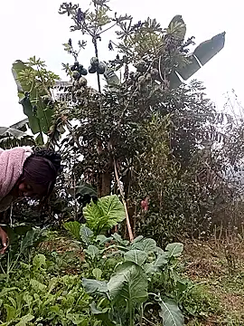 Alice-567 online show from January 11, 9:27 am