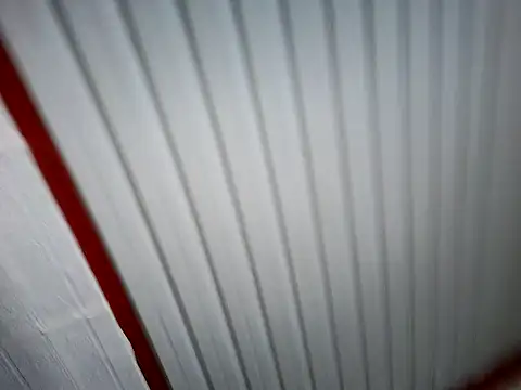 xwildflowerx online show from March 3, 9:22 pm