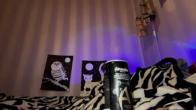 Snapshot of BootedRush chatting on November 7, 4:33 pm BootedRush online show from November 7, 4:33 pm