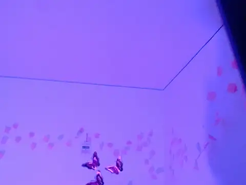 Snapshot of Samanta_777 chatting on November 26, 11:21 am Samanta 777 online show from November 26, 11:21 am