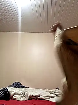 arybiten online show from February 10, 10:14 am