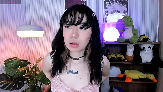 judaline  online show from November 12, 12:42 pm