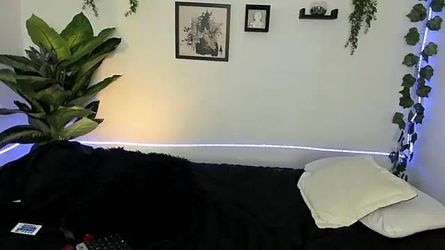 Evelyn R  online show from December 14, 2:00 pm