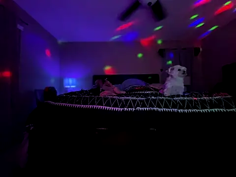 Antnjon online show from December 14, 2:07 am