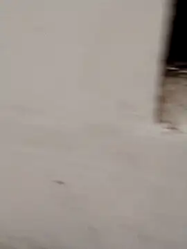 Jacqueline007 online show from December 21, 12:57 am