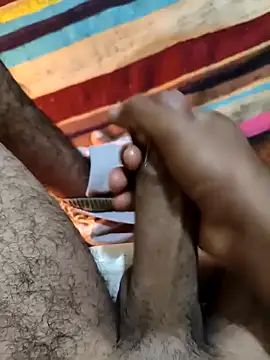 Realverse online show from November 28, 1:06 am