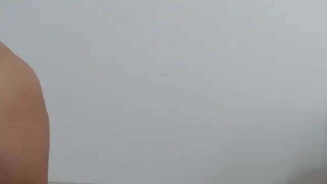 Snapshot of goddessvenus444 chatting on March 2, 3:41 pm goddessvenus444 online show from March 2, 3:41 pm