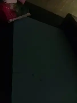 Misiek11123 online show from November 4, 9:29 pm