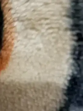 Radhaji88 online show from November 11, 2:12 pm