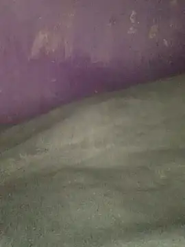 hotman29 online show from January 17, 12:48 am