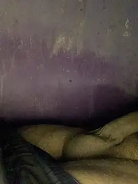 hotman29 online show from November 24, 8:53 pm