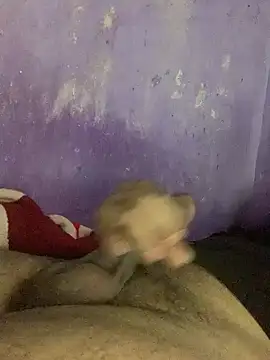 hotman29 online show from December 23, 12:11 am