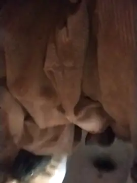 Snapshot of sexychd chatting on December 4, 3:05 am sexychd online show from December 4, 3:05 am