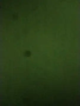 Snapshot of sexychd chatting on December 14, 4:51 am sexychd online show from December 14, 4:51 am