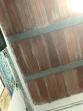 Megan2026 online show from November 26, 2:55 am