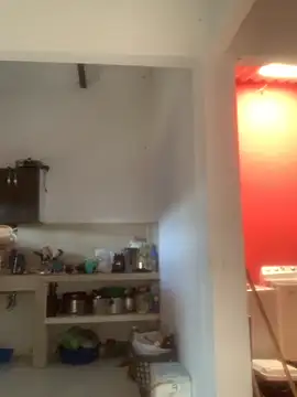 Megan2026 online show from December 3, 2:38 pm