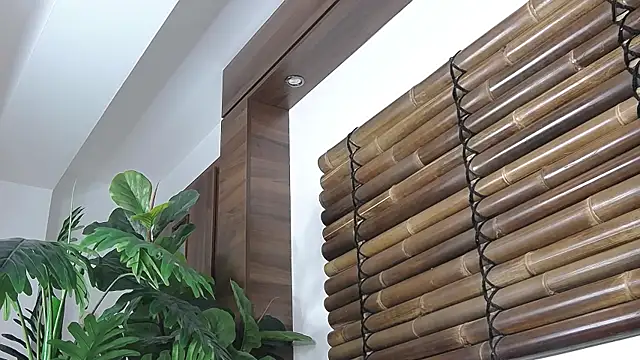 Snapshot of FayeSlate chatting on November 12, 5:00 am FayeSlate online show from November 12, 5:00 am