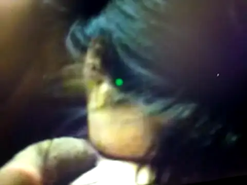 BdTinyDick online show from March 19, 7:58 pm
