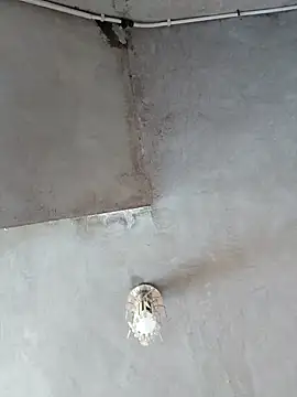 PaulinaLondra2 online show from November 11, 2:01 pm