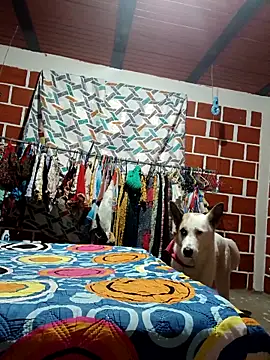 PaulinaLondra2 online show from December 19, 12:07 pm