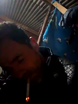 Arceusi online show from November 3, 6:40 am