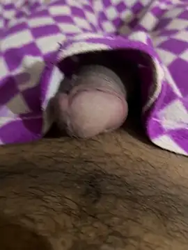 playboyoftelugu online show from November 14, 5:44 am