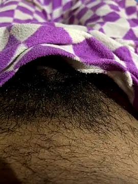 playboyoftelugu online show from November 10, 5:56 am