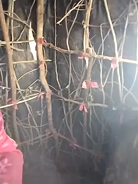 Jooli cuty online show from February 20, 11:12 am