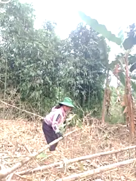 be-yeu online show from December 2, 1:39 am