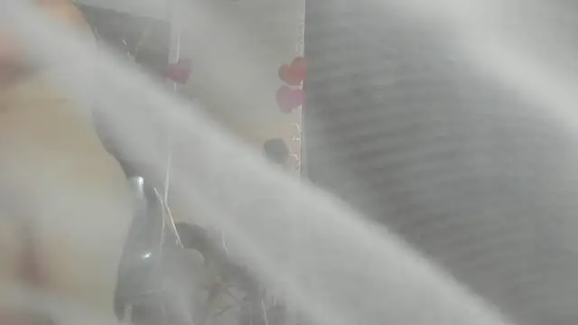 clara heat online show from March 31, 6:54 pm