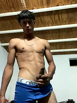 meliodas 23cm online show from November 26, 2:33 am