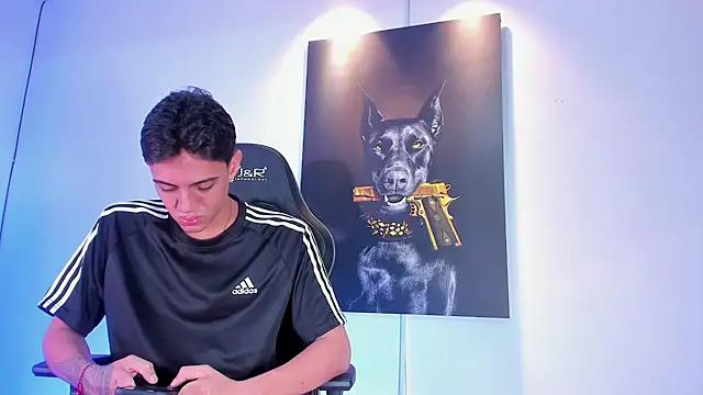 stiven 24cm online show from November 18, 11:59 pm