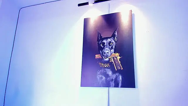 stiven 24cm online show from November 28, 7:08 am