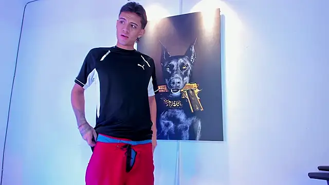 stiven 24cm online show from November 27, 3:18 am