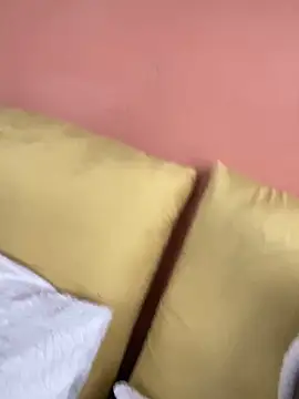 Aurinia online show from November 4, 8:18 am