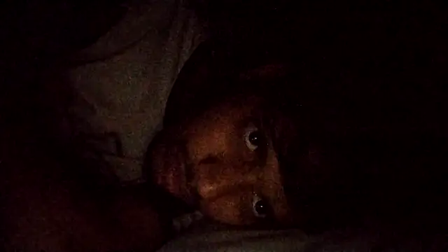 sageer097 online show from November 13, 6:23 pm